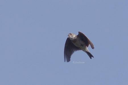 2012-04-22_190.jpg