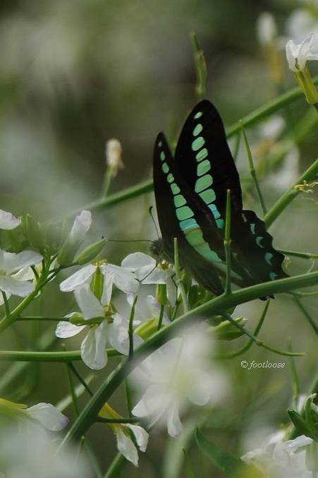 2012-04-24_372.jpg
