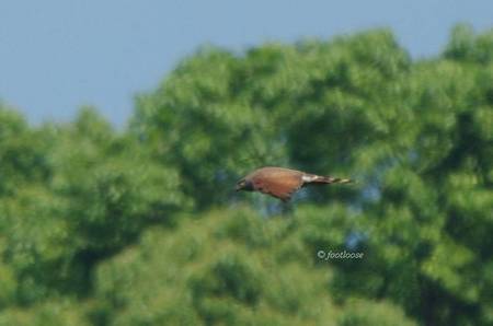 2012-05-28_135x.jpg