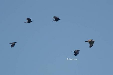 2012-05-28_283x.jpg