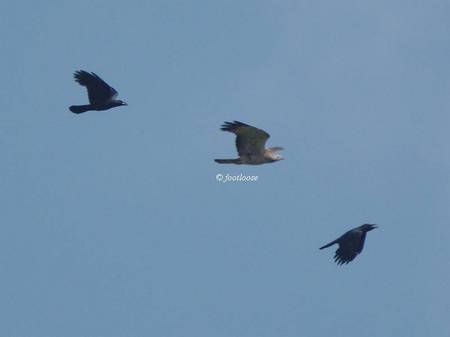 2012-05-28_308.jpg