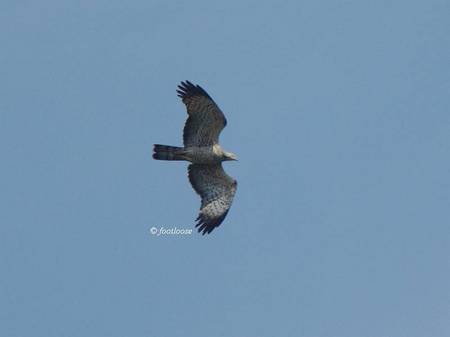 2012-05-28_316.jpg
