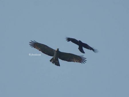 2012-05-28_378.jpg