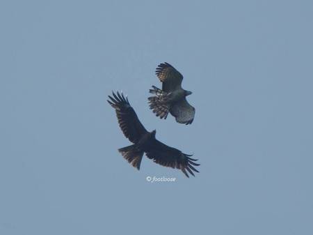 2012-05-28_434.jpg