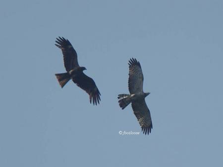 2012-05-28_436.jpg