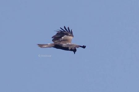 2012-06-03_108.jpg