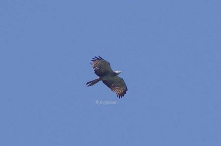 2012-06-03_134.jpg