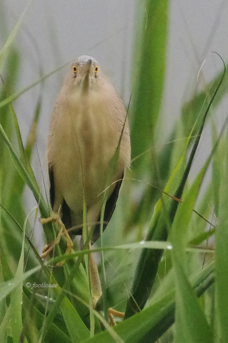 2012-06-30_193x.jpg