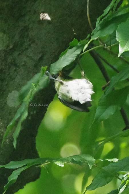 2012-07-08_004.jpg