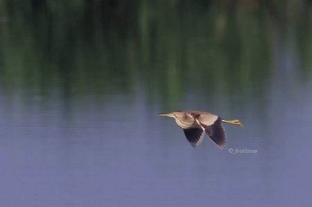 2012-07-16_057.jpg