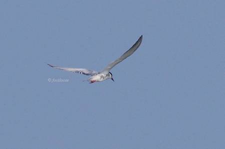 2012-07-25_181.jpg