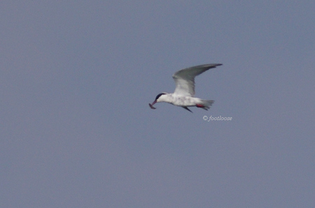 2012-07-27_338.jpg