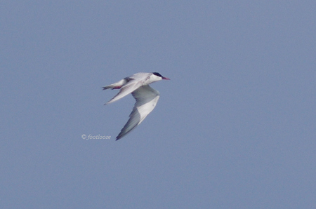 2012-07-27_615.jpg