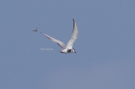 2012-07-27_617.jpg