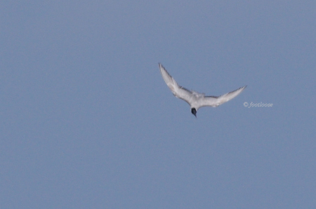 2012-07-27_633.jpg