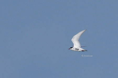 2012-07-27_670.jpg