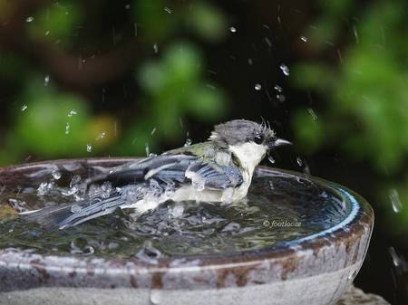 2012-07-27_747.jpg