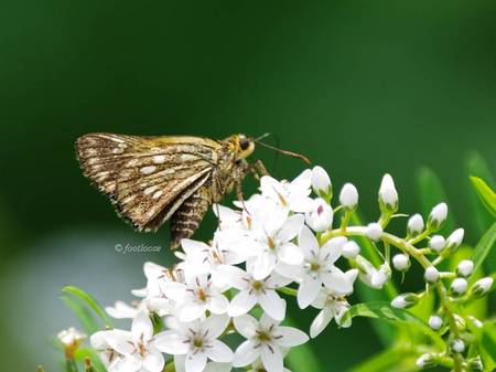 2012-07-29_419.jpg