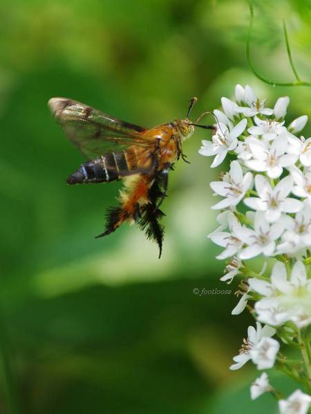 2012-07-29_449.jpg