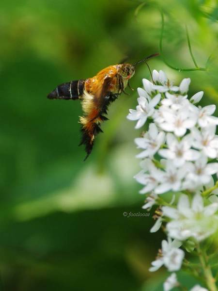 2012-07-29_454.jpg