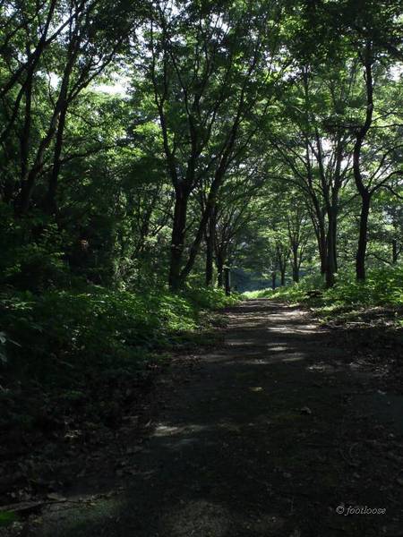 2012-07-29_531.jpg