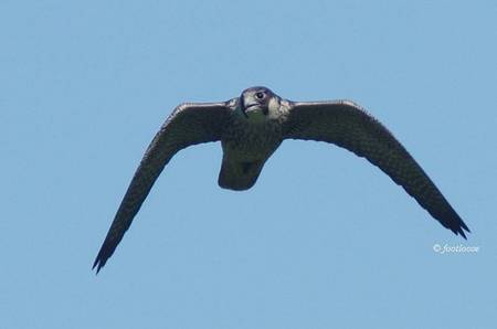 2012-07-31_263.jpg