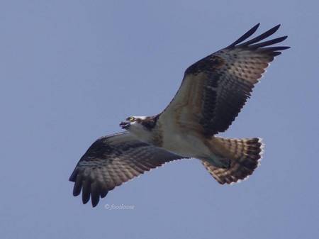 2012-08-04_524.jpg