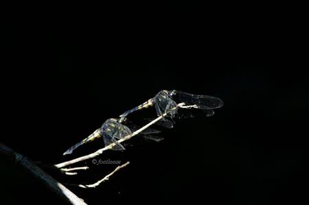 2012-08-26_023.jpg