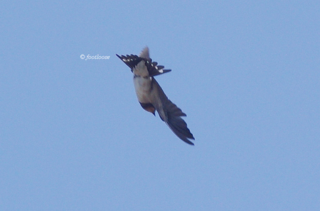 2012-09-02_656.jpg
