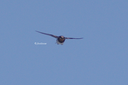 2012-09-02_659.jpg