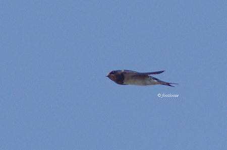 2012-09-02_727.jpg