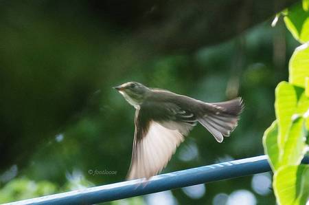 2012-09-08_146.jpg