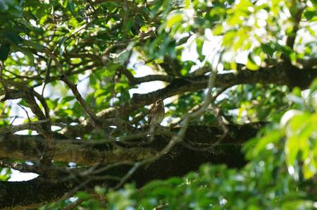 2012-09-28_192a.jpg