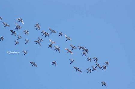 2012-10-03_076.jpg