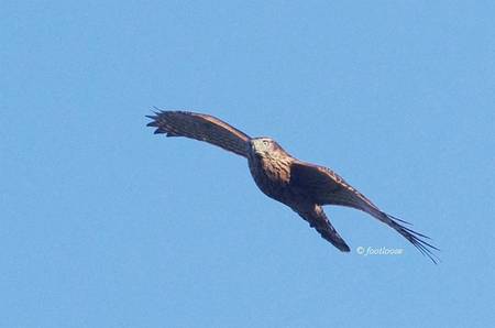 2012-10-03_083.jpg