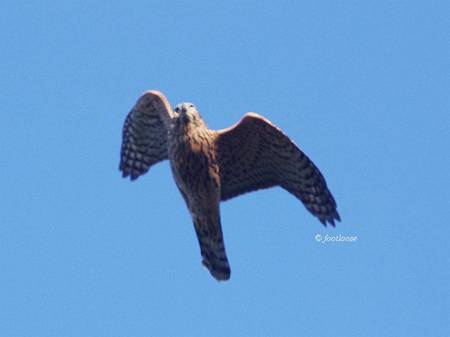 2012-10-03_086.jpg