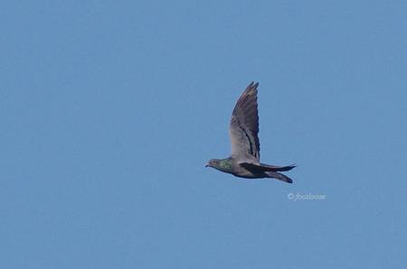 2012-10-03_107.jpg