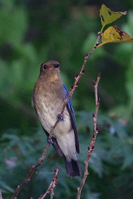 2012-10-04_202x.jpg