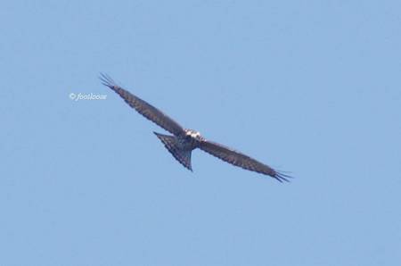 2012-10-07_295.jpg