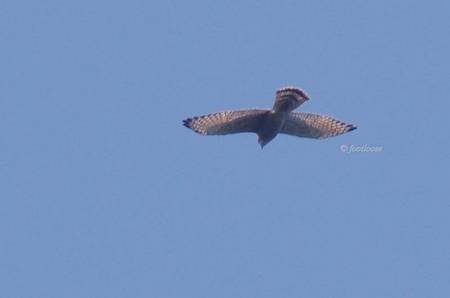 2012-10-07_331.jpg