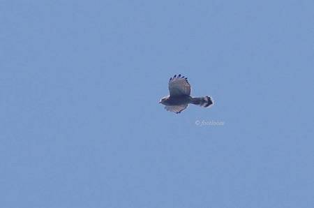 2012-10-07_334a.jpg
