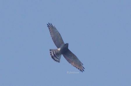 2012-10-07_341.jpg