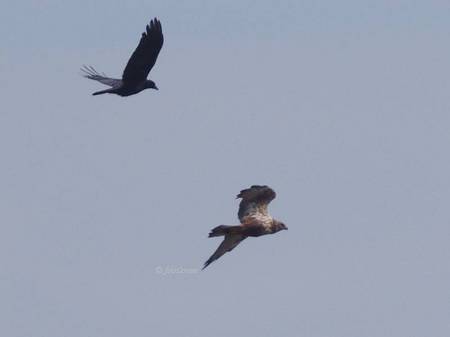2012-10-08_346.jpg