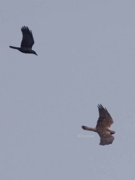 2012-10-08_350.jpg