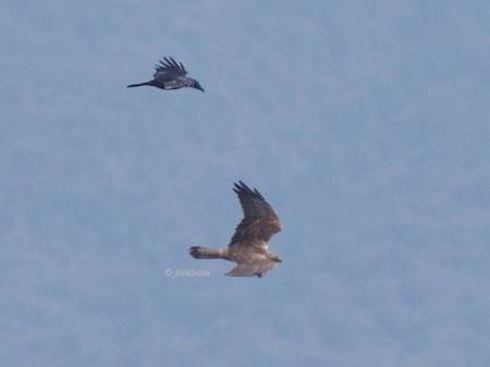 2012-10-08_353.jpg