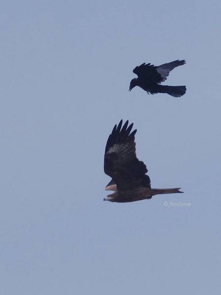 2012-10-08_378.jpg
