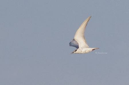 2012-10-08_652.jpg