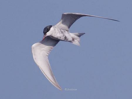 2012-10-09_251.jpg