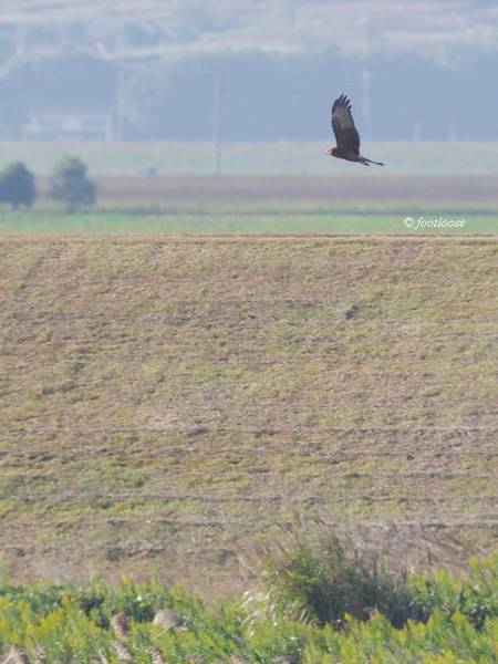 2012-10-12_577.jpg
