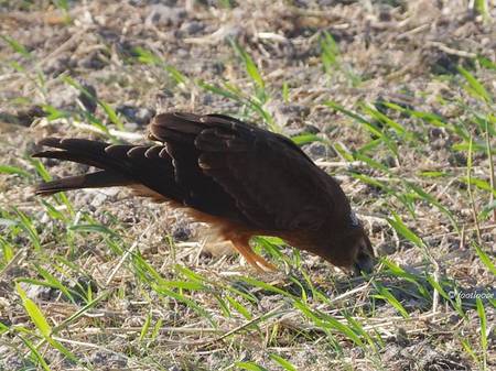2012-10-12_632.jpg